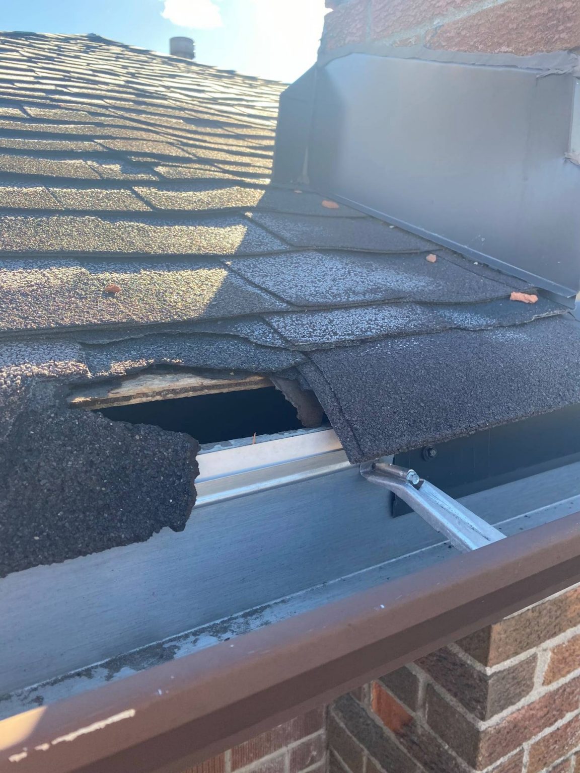 Do Raccoon Deterrents Work? Critter Control Canada