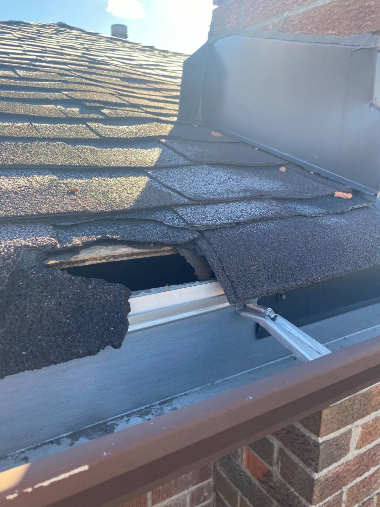 Shingles damaged by raccoons