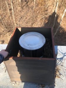 squirrel nest on roof