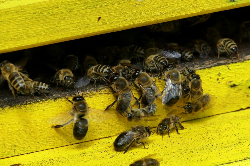 N merlo ymho6ldqzci unsplash