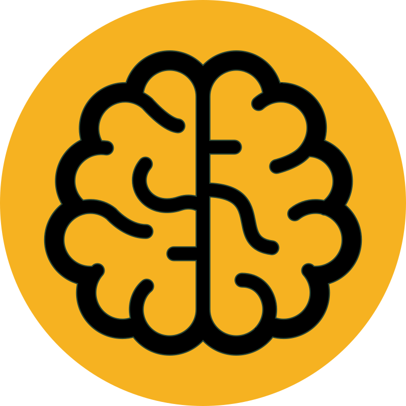 Did you know brain