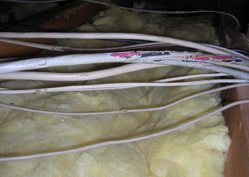 Squirrels chewed wires rectangle